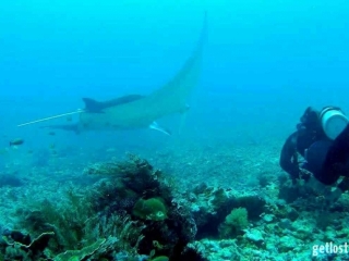 5 Manta Point