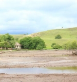 3 Loh Buaya Rinca Island