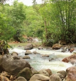 Crossing the river