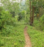 Mbeliling Path