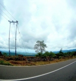 Panoramic view from the Warung