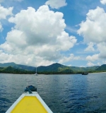 Komodo Island a head
