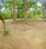Taking photo of Komodo