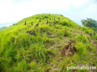 Padar (7)