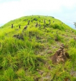 Padar (7)
