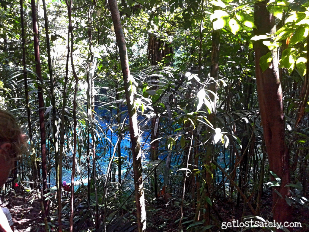 Telaga Biru Samares di Antara Pepohonan Hutan Tropis