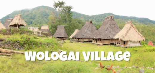 Wologai Village