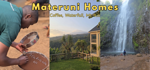 Materuni Homes Review, coffee tour, Materuni waterfall